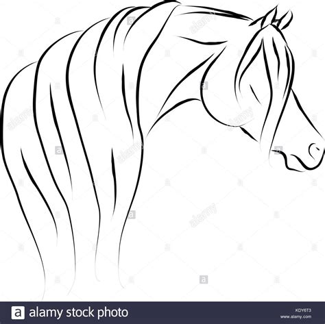 Arabian Horse Head Drawing at GetDrawings | Free download