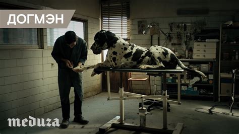 «Догмэн». Трейлер - YouTube