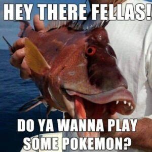 30+ Funny Fish Memes That Can Cause Laughing Riot | Puns Captions