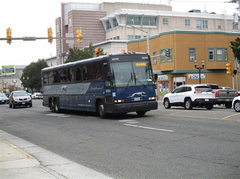 How Much Is Greyhound To Atlantic City at Williams Abney blog