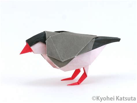 Java Sparrow Katsuta Kyohei Origami