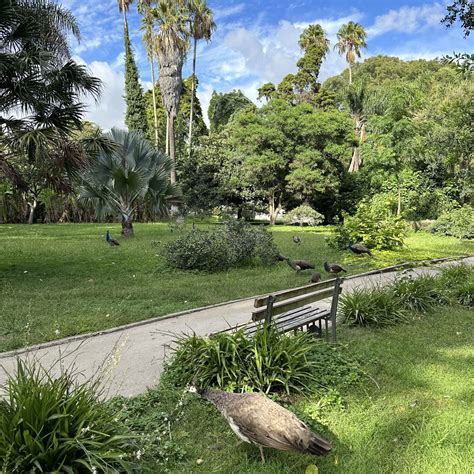 4 Days in Lisbon Portugal – Best 2026 Guide – Travel Blog