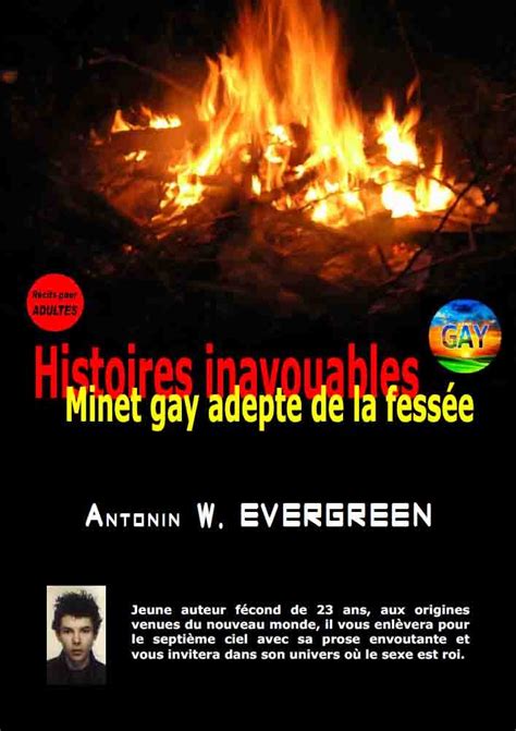 Minet gay adepte de la fessée Histoires inavouables t 2 eBook Evergreen Antonin Amazon fr