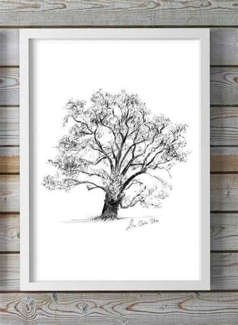 Wall Art Live Oak Tree Wall Art 19 Of 20 Photos