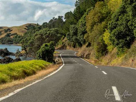 27 Things To Do In Coromandel Road Trip Highlights • Albom Adventures