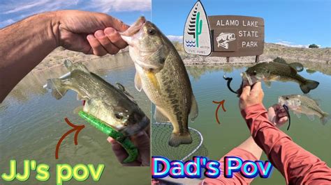 Alamo Lake Fishing Youtube