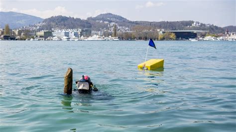 Sensationeller Fund Stadt Luzern Soll Jahre Lter Sein Als