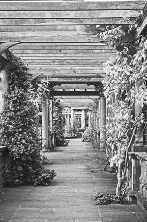 Free pergola walkway designs Photos & Pictures | FreeImages