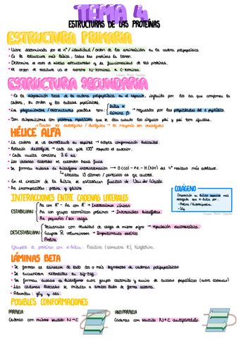 Tema Estructura De Las Proteinas Pdf