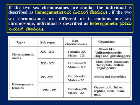 Sex Determination లింగ నిర్దారణ Ppt Download