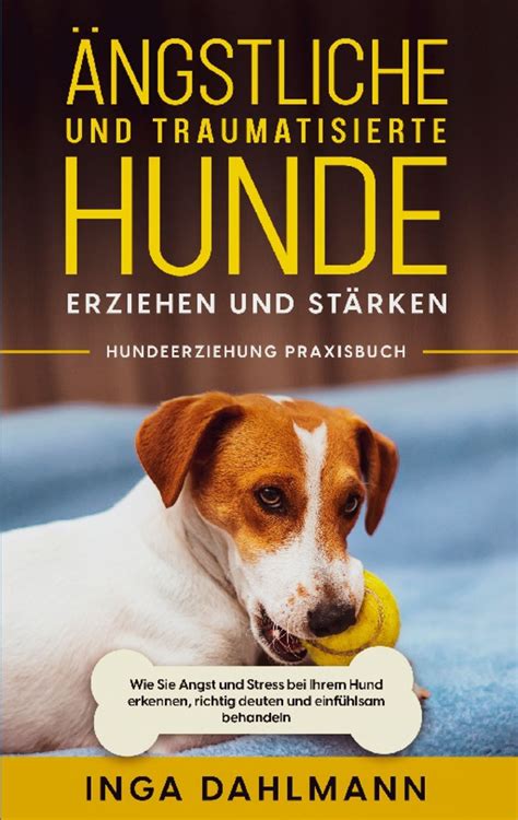 Ngstliche Und Traumatisierte Hunde Erziehen Und St Rken