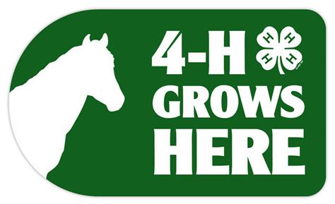 Horse 4-H Grows Here 4-H Sticker - SP7617 - 4-H Store