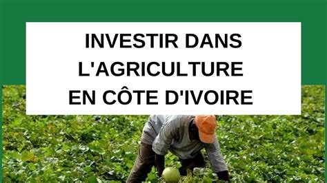 Investir Dans Le Business De L Agriculture En C Te D Ivoire Youtube