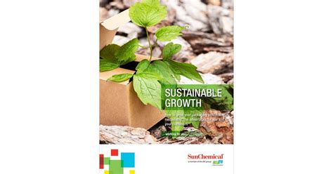 The Path To Sustainable Growth Free Infographic