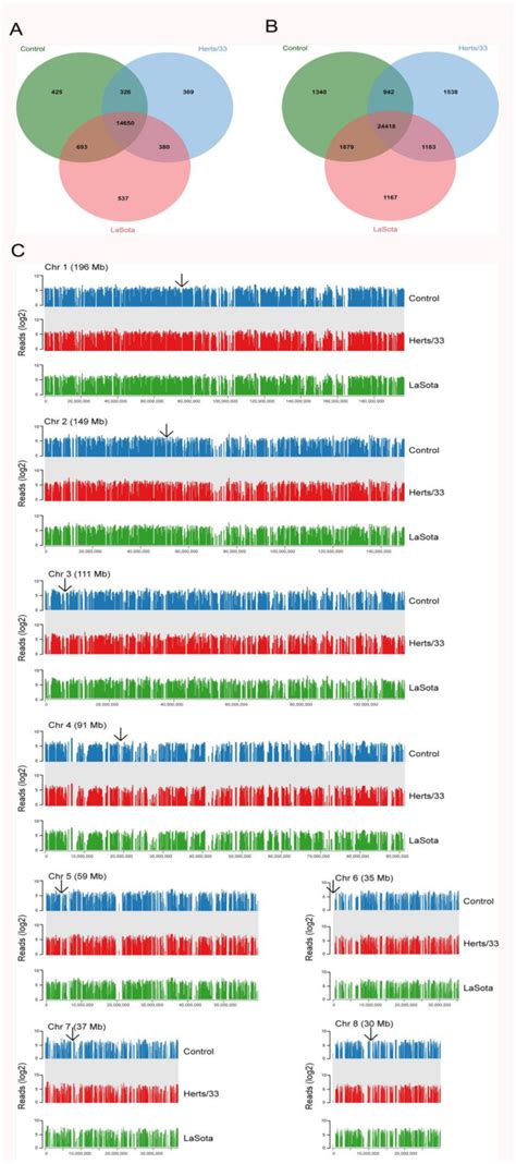 Isoform Level Transcriptome Maps Of Control And NDV Infected CEF Cells