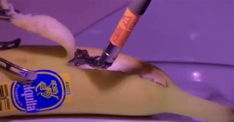 No They Did Not Do Surgery On A Banana Over G The Verge