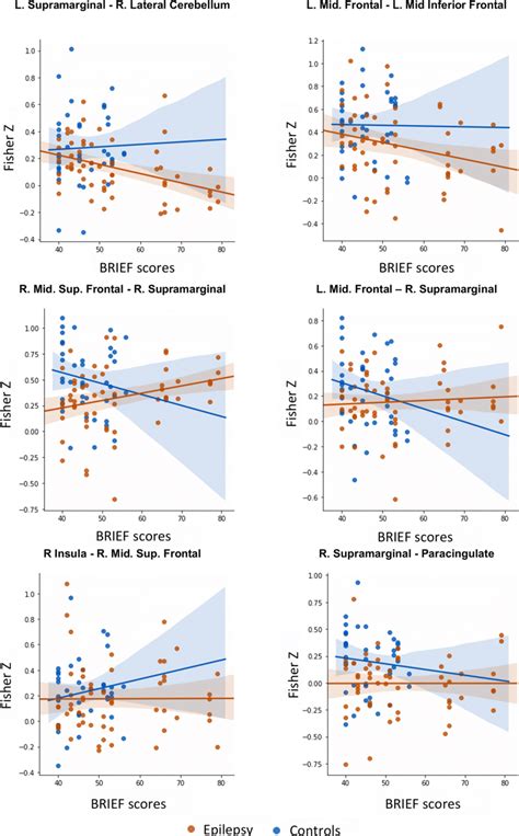 Group Epilepsy Or Control By Resting State Functional Connectivity Download Scientific