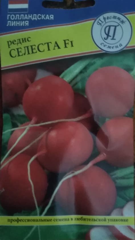 Семена овощей :: Редис СЕЛЕCТА F1 - От посадки до уборки