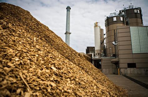 What is Biomass Energy? and How Biomass Energy is Generated ... 