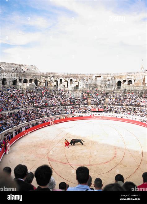 Bull Fight Hi Res Stock Photography And Images Alamy