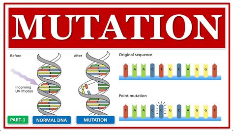 MUTATION AND ITS CLASSIFICATION PART 1 TYPES MUTANT MUTAGEN