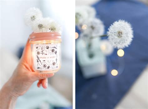 Echte Pusteblumen Mit Einfachem Trick Konservieren Ein Glas Voller