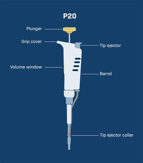 Diagram Of A Micropipette