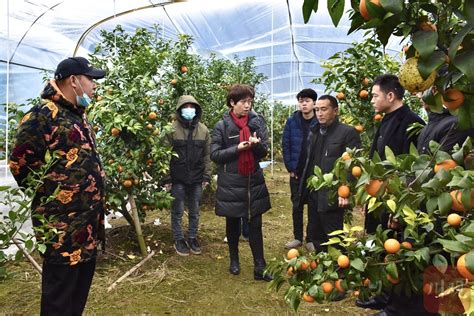 吸引归雁反哺家乡，四川这个外出务工大县办起了流动座谈会 四川在线