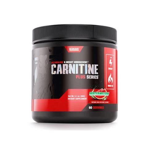 Carnitina Servicios Dasha Fitness Tienda De Suplementos Y