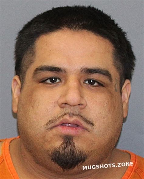 ALMAGUER SERGIO 146208 06 01 2023 Cooke County Mugshots Zone