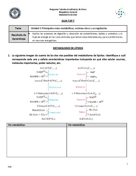 7 Guia 7 Bioquímica 231124 154524 Bioquímica General DBQUI 1076
