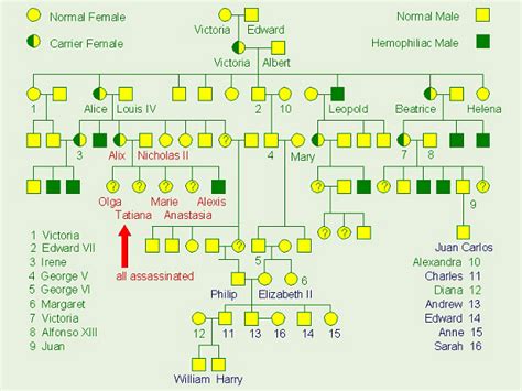 Sex Linked Recessive Hemophilia A