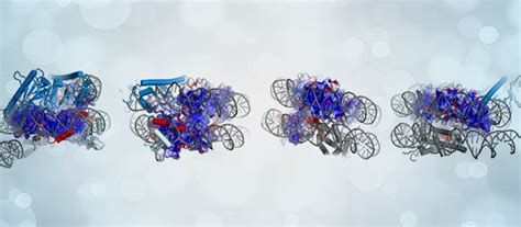 Researchers Unlock the Mysteries of Epigenetic Inheritance | What is ...