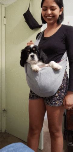 Doggy Strap GIF - Doggy Dog Strap - Discover & Share GIFs