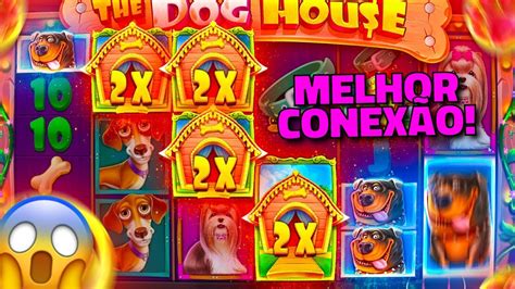 Peguei A Melhor Conexão De Todas Forrei O Mundo No Dog House