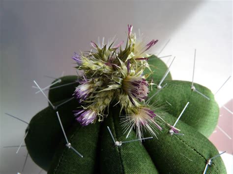 MI HOGAR DE PATCHWORK CACTUS DE TELA 5 ECHINOCACTUS GRUSONII