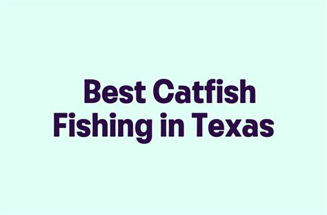 Best Catfish Fishing In Texas