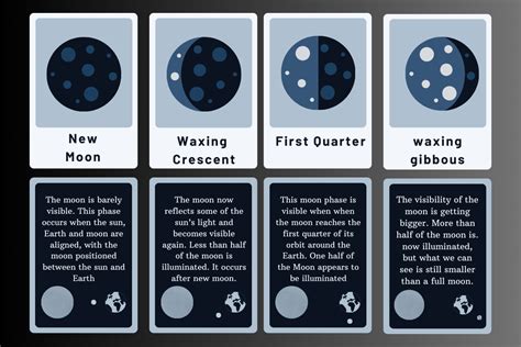 Moon Phase Posters Science Flashcards Graphic By No Impossible Under