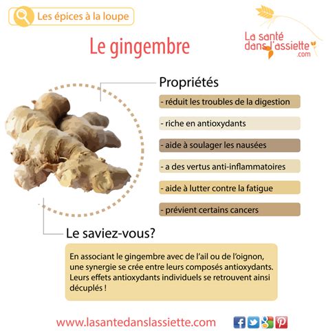 La Santé dans l Assiette Fiche pratique Le gingembre