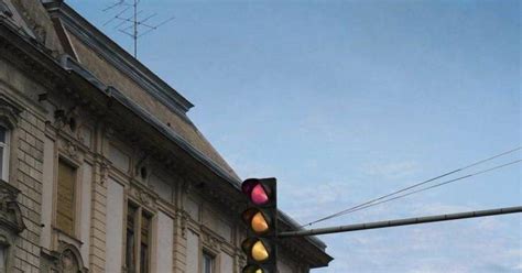 Цветофор | Пикабу