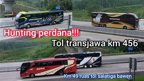 Hunting Perdana Di Km Tol Transjawa Dd Indorent Agramas Stj