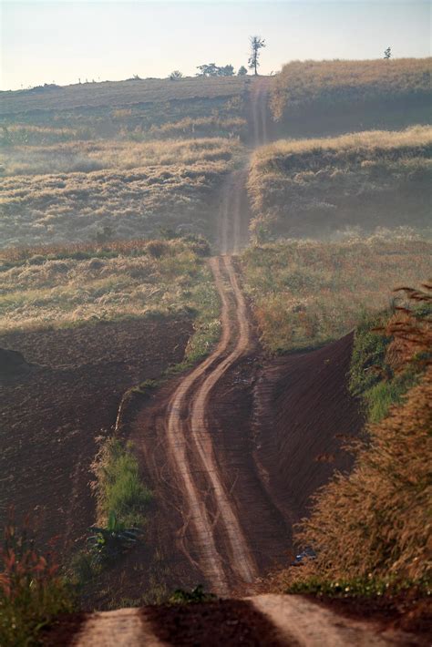 Country dirt road in shadow and sunlight 11043299 Stock Photo at Vecteezy