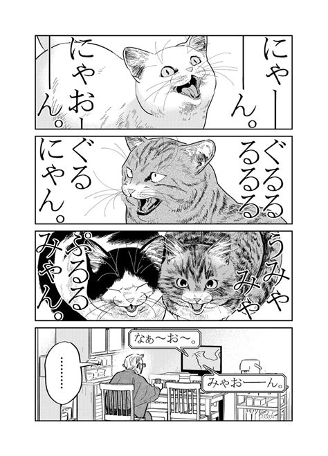 「家によく来る野良猫の鳴き声が気になる元極道の話。 14 漫画が読めるハッシュタグ 」片倉 頼📦オヤジとにゃん吉👨‍🦳🐾🐱11