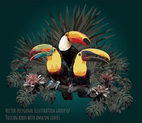 Groupe Dillustration Polygonale Vectorielle Doiseaux Toucan Avec Des