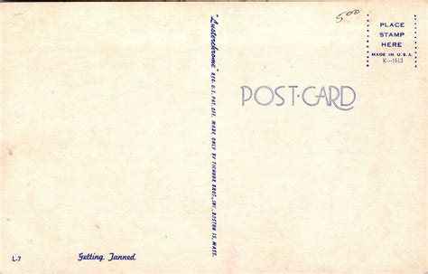 Vtg S Bathing Beauty Woman Bikini Swimsuit Chrome Postcard Asia Middle East Oman