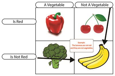 What is a Carroll Diagram? - Definition & Examples | Study.com