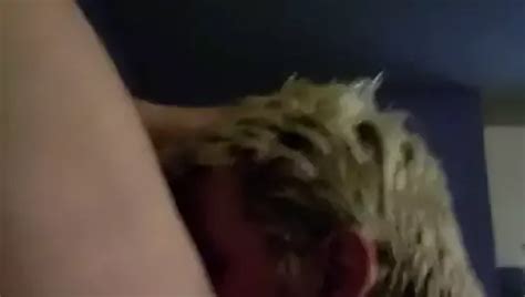 Free Gay Ass Eating Porn Videos 18 XHamster