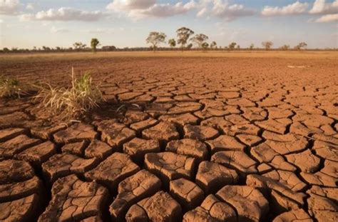 Dampak EL Nino Wilayah Kekeringan Di Makassar Semakin Meluas Inikatacoid