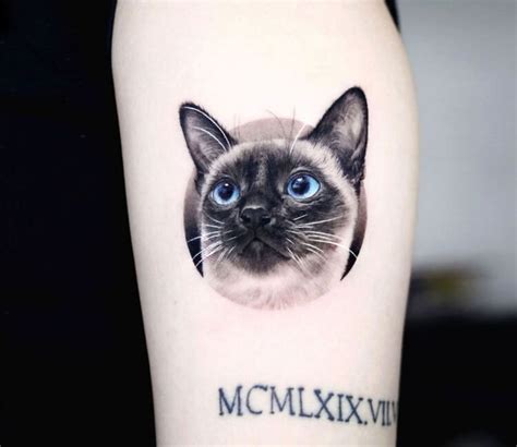 Siamese cat tattoo by Tattooist Yeono | Photo 30970