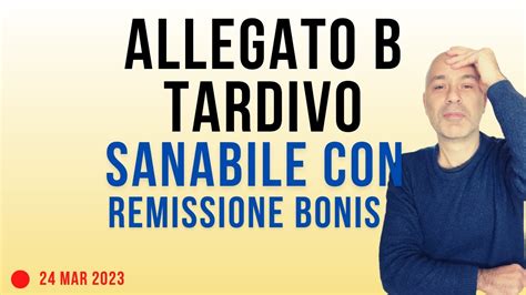 Allegato B Tardivo Sanabile Con Remissione In Bonis Emendamento Dl